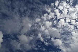Cloud Formation Stampe: Cirrocumulus cloud
