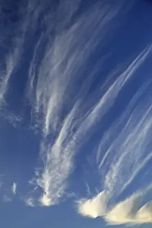 Deserted Landscapes Stampe: Cirrus clouds