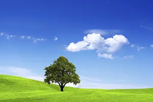 Agricultural Environment Stampe: Clean Environment