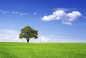 Deserted Countryside Scene Stampe: Clean environment