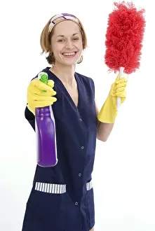 Spring Cleaning Tips Stampe: Cleaner