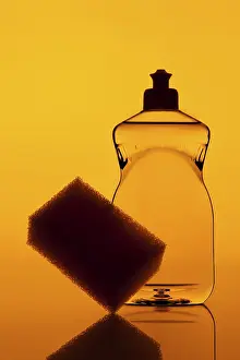 Studio Still Life Stampe: Cleaning agent with a sponge