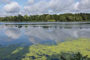Overcast Sky Landscape Photo Stampe: Clear water with algae and clouds