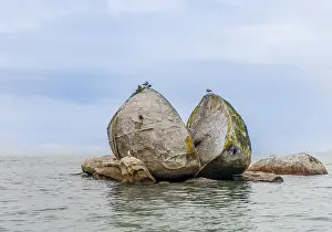 Rocky Shoreline Landscape Stampe: Cleaved rock, Split Apple Rock