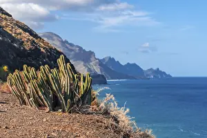 Atlantic Ocean View From Above Stampe: The cliffs from the Barranco de Guayedra viewpoint