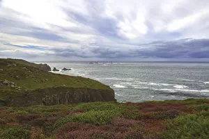 Rocky Cliffs Europe Stampe: Cliffs with heather in the foreground