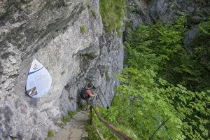 Climbing Installation Austria Stampe: Climbing installation at Trefflingfall