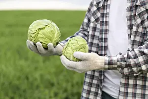 Cabbage Nutrition Facts Stampe: Close up man with cabbage