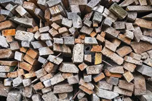 Deserted Woodpile Stampe: Close up of a stack of timber with rusty nails