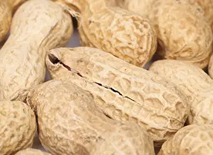 Studio Shot Of Peanuts Stampe: Close-up of some peanuts. background of some peanuts