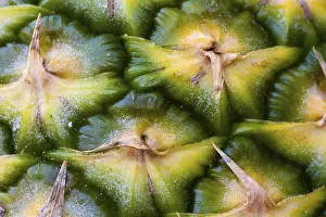 Close Up Macro Photography Stampe: Close-up of a pineapple