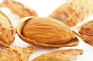 Studio Shot Of Nuts Stampe: Close up view of roasted almonds in shell