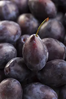 Open Air Nature Shots Stampe: Closeup of plums