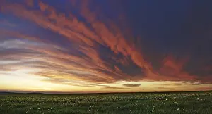 Overcast Weather Conditions Stampe: Cloud front approaching