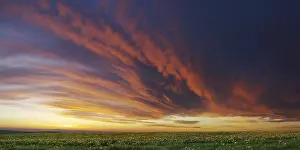 Overcast Weather Conditions Stampe: Cloud front approaching