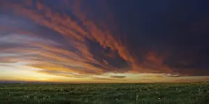 Flight In Cloudy Sky Stampe: Cloud front approaching
