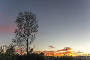 Southern France Evening Light Stampe: Cloud and clear sky during a sunset