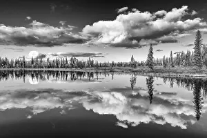 Cloudy Forest Lake Stampe: Cloud reflection in a forest lake