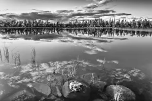 Cloudy Lake Reflection Stampe: Cloud reflection in a forest lake
