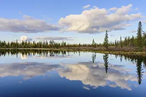 Forest Lake Sweden Stampe: Cloud reflection in a forest lake