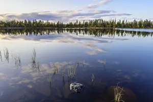 Swedish Forest Lake Stampe: Cloud reflection in a forest lake