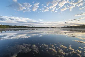 Lago Stampe: Riflessione di nuvole in un lago di foresta.