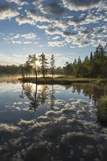 Swedish Nature Photography Stampe: Cloud reflection in a forest lake
