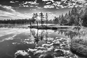 Cloudy Sky Over Lake Stampe: Cloud reflection in a forest lake