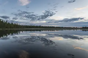 Swedish Nature Photography Stampe: Cloud reflection in a forest lake