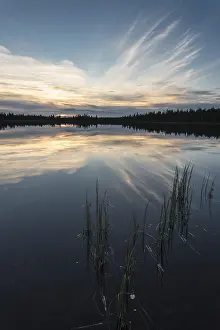 Overcast Sky Landscape Shot Stampe: Cloud reflection in a forest lake