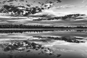 Cloudy Forest Lake Stampe: Cloud reflection in a forest lake