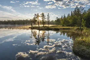 Lago Stampe: Riflesso di nuvola in un lago di foresta.