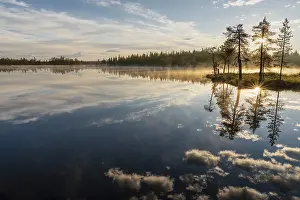 Scandinavian Scenery Stampe: Cloud reflection in a forest lake
