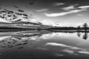 Stampe di Riflesso di nuvola in un lago di foresta, Norrbotten, Lapponia, Svezia, luglio 2017 Immagini Correlate Stampe: Riflessione di nuvola in un lago di foresta.