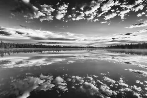 Stampe di Riflessione di nuvole in un lago di foresta, Norrbotten, Lapponia, Svezia, luglio 2017 Immagini Correlate Stampe: Riflessione di nuvole in un lago di foresta.