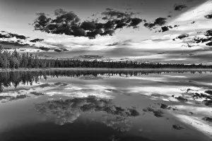 Stampe di Riflessione di nuvole in un lago di foresta, Lapponia, Svezia Immagini Correlate Stampe: Riflessione di nuvole in un lago forestale, Norrbotten, Lapponia, Svezia, luglio 2017