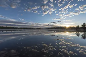 Stampe di Riflessione di nuvole in un lago di foresta, Norrbotten, Lapponia, Svezia, luglio 2017 Immagini Correlate Stampe: Riflesso di nuvola in un lago di foresta.