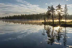 Stampe di Riflessione di nuvole in un lago di foresta, Norrbotten, Lapponia, Svezia, luglio 2017 Immagini Correlate Stampe: Riflessione di nuvola in un lago forestale.