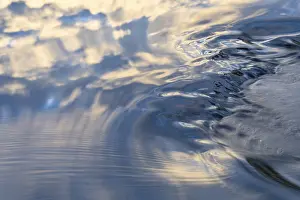 Scandinavian Water Reflections Stampe: Cloud reflection in a stream, abstract