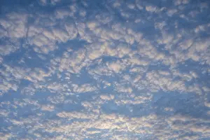 Evening Sun Germany Stampe: Cloud structure, cloud formation