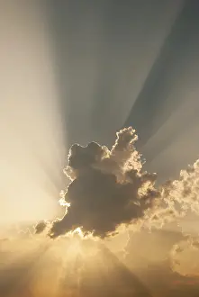 Overcast Sky With Clouds Stampe: Cloud in front of the sun showing rays of light
