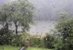 Rainy Weather Stampe: Cloudburst rain, seen through the window pane