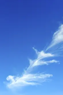 Cirrocumulus Clouds Stampe: Clouds