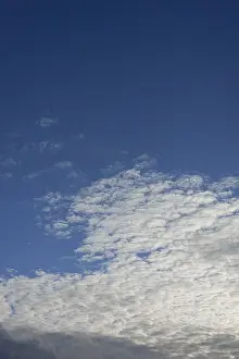 Meteorology Photography Stampe: Clouds, Cirrocumulus