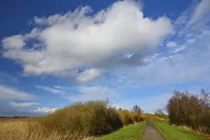 Northern Germany Wetlands Stampe: Clouds over the dike at Lake Dummer