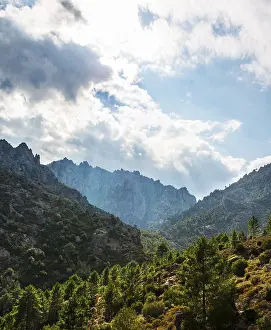 Cloudy Mountain View Stampe: Clouds over forested mountains