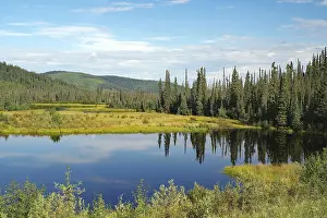 Serene Forest Atmosphere Stampe: Clouds reflected in a crystal clear
