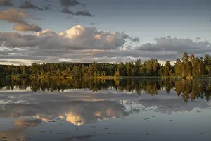 Clouds Reflected On Water Stampe: Clouds reflected on the water surface