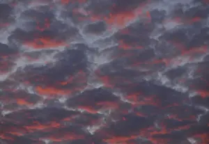 Deserted Evening Sky Stampe: Clouds in the sky at sunset