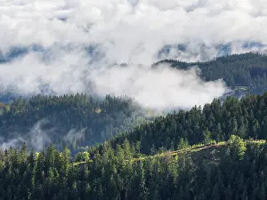 Thuringian Forest Landscape Stampe: Clouds in the Thuringian Forest